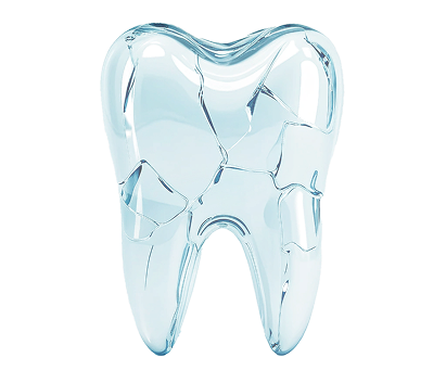 tooth-with-canals-in-cross-section-1.png